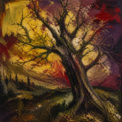 a tree in nature
