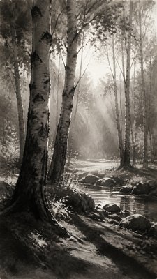 a serene birch forest in soft morning light, no people, no text