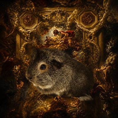 a small animal sitting in front of a painting