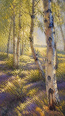 a serene birch forest in soft morning light, no people, no text