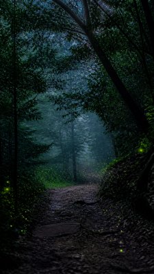 a mysterious forest path with fireflies and drifting mist, atmospheric vertical composition with open space at the top, no text