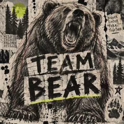 Illustration of a bear with the line "TEAM BEAR"