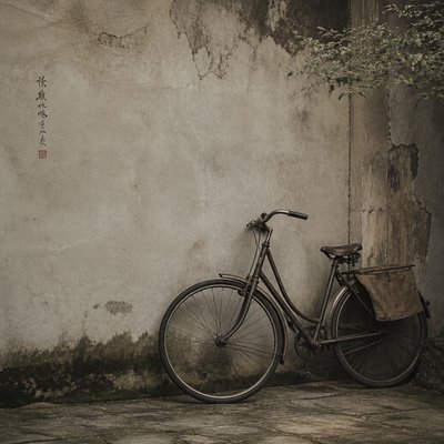 bicyle resting against a wall