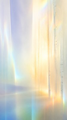 a serene birch forest in soft morning light, no people, no text