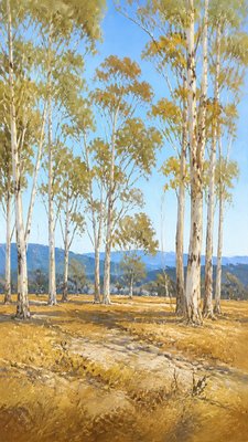 a serene birch forest in soft morning light, no people, no text