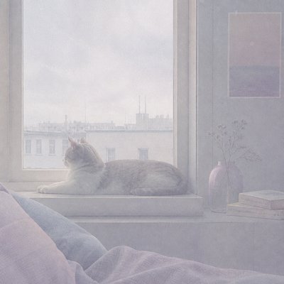 a cat lounging in a sunlit window