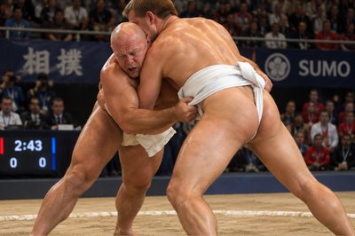 two sumo wrestlers wrestle in front of a crowd