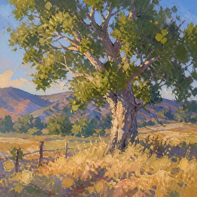 a tree in nature