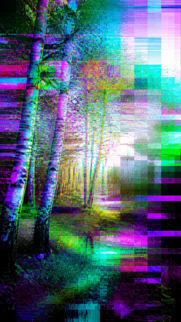 a serene birch forest in soft morning light, no people, no text