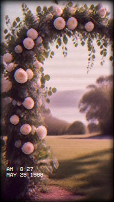 an arch of white roses and eucalyptus in soft morning light, elegant vertical composition with open space, no text