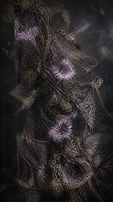 a climbing vine of flowers and hummingbirds on a dark background, tall wrapping composition, no text