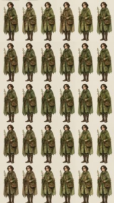full-body original character: a wandering botanist with a satchel of plants, a patched green cloak, tall boots and round glasses, neutral background