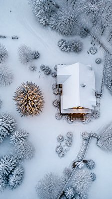 a snow-covered cottage with warm glowing windows beside a decorated pine tree, gentle snowfall, no text