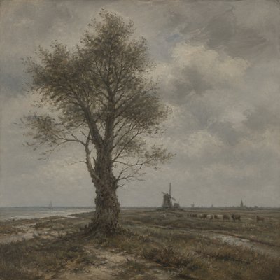 a tree in nature