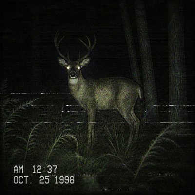 animal standing in natural pose — Analog Horror Aesthetic
