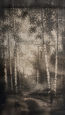 a serene birch forest in soft morning light, no people, no text