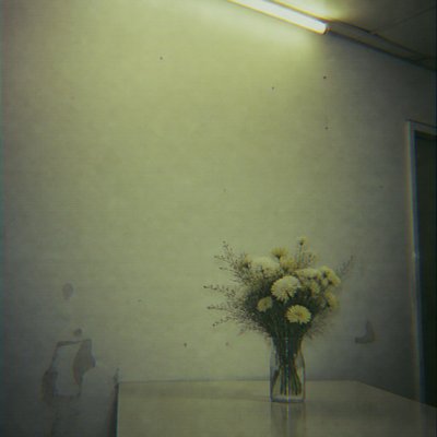 bouquet of flowers in a glass vase