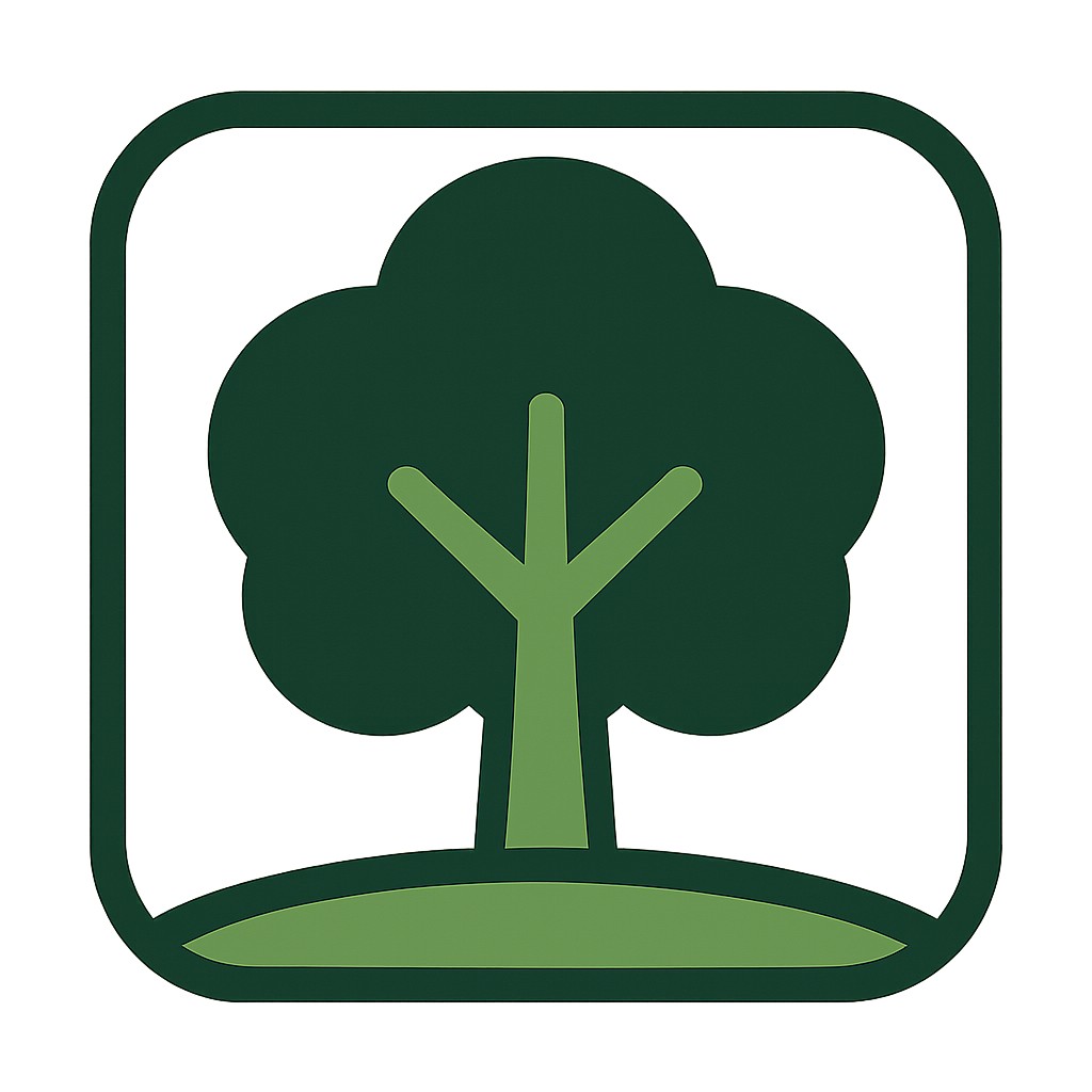 a tree in nature