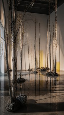 a serene birch forest in soft morning light, no people, no text