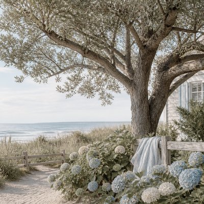 a tree in nature — Coastal Grandmother Aesthetic