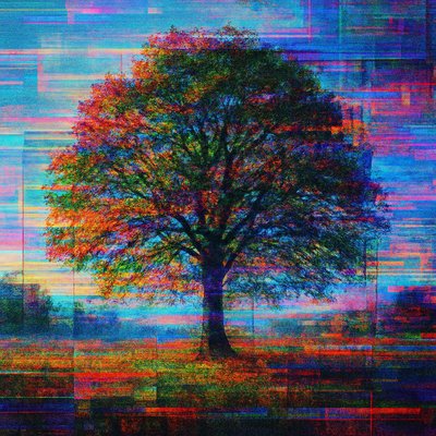 a tree in nature
