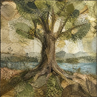 a tree in nature
