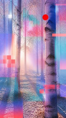 a serene birch forest in soft morning light, no people, no text