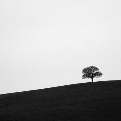 wide landscape with natural scenery — Minimalist Photography Style