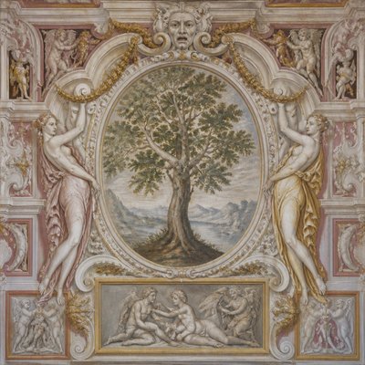 a tree in nature