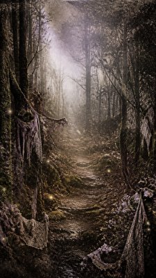 a mysterious forest path with fireflies and drifting mist, atmospheric vertical composition with open space at the top, no text