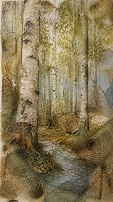a serene birch forest in soft morning light, no people, no text
